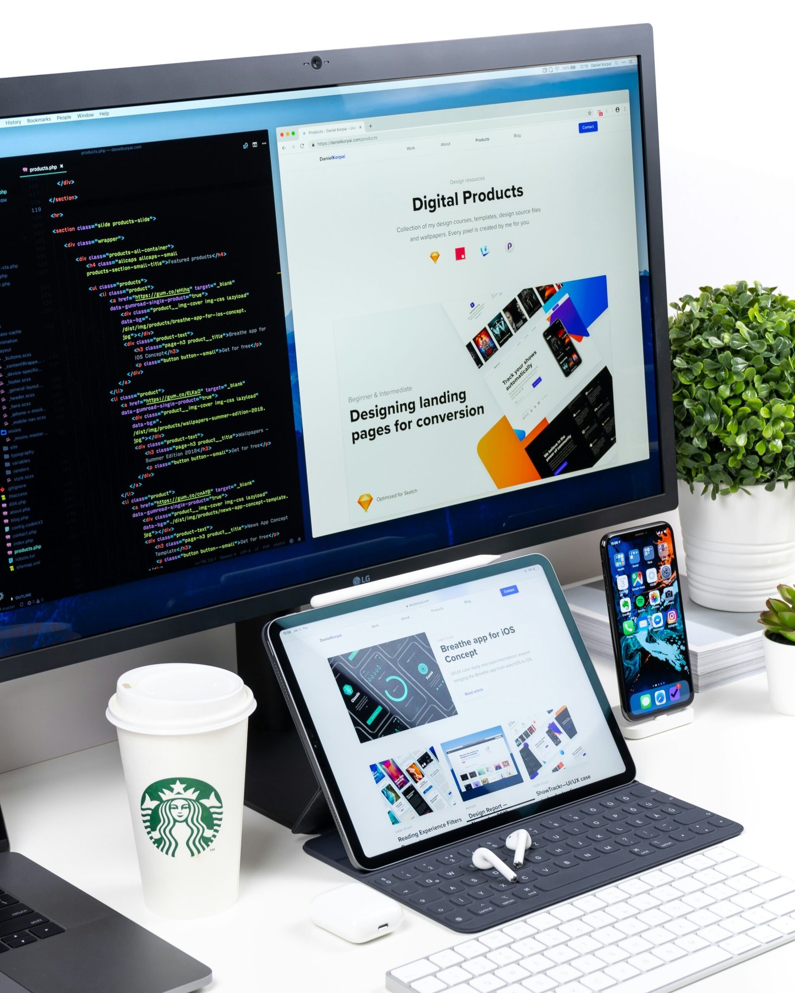 Web Design Basics